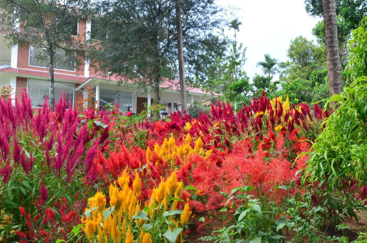 LakeRose Wayanad Resort Ambalavayal Bagian luar foto